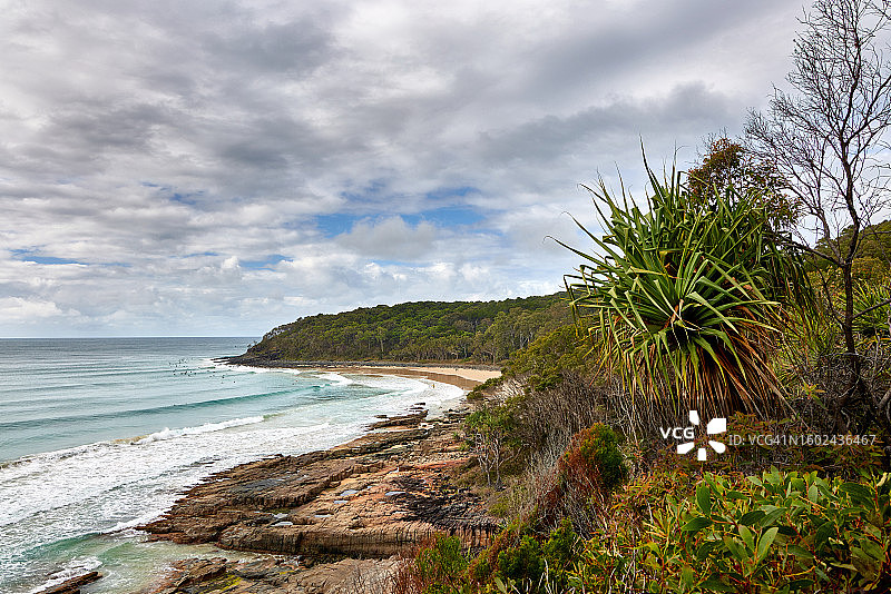 在茶树海滩的冲浪者图片素材