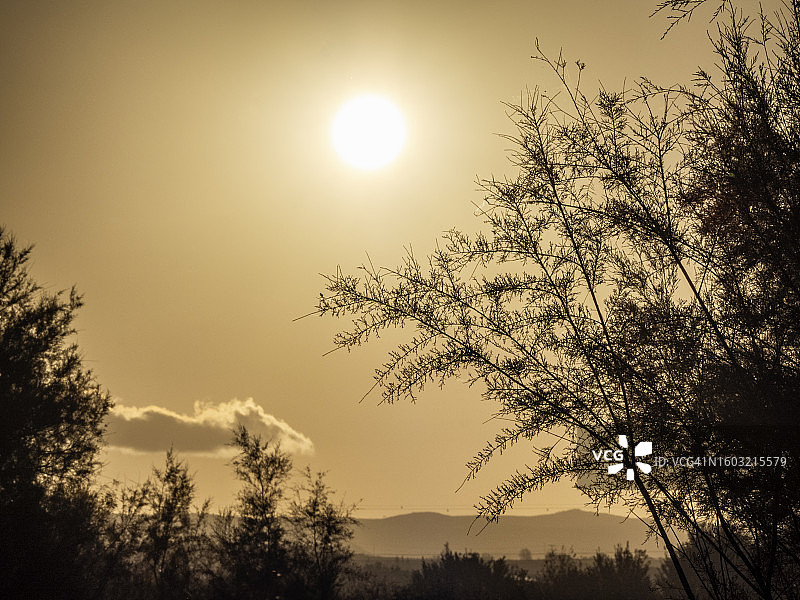 强热浪下的夏日天空景观图片素材