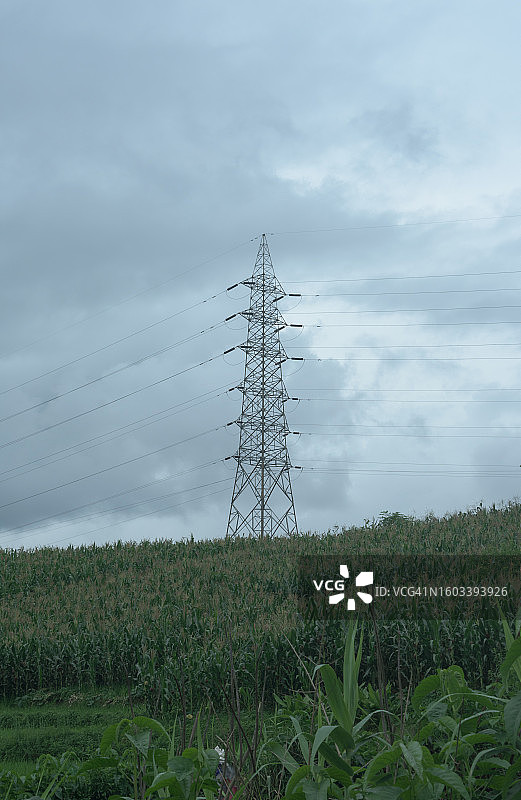低角度视角：田野上的电塔与天空图片素材