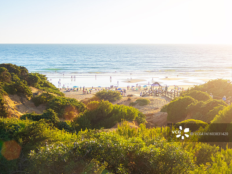 西班牙罗氏图片素材