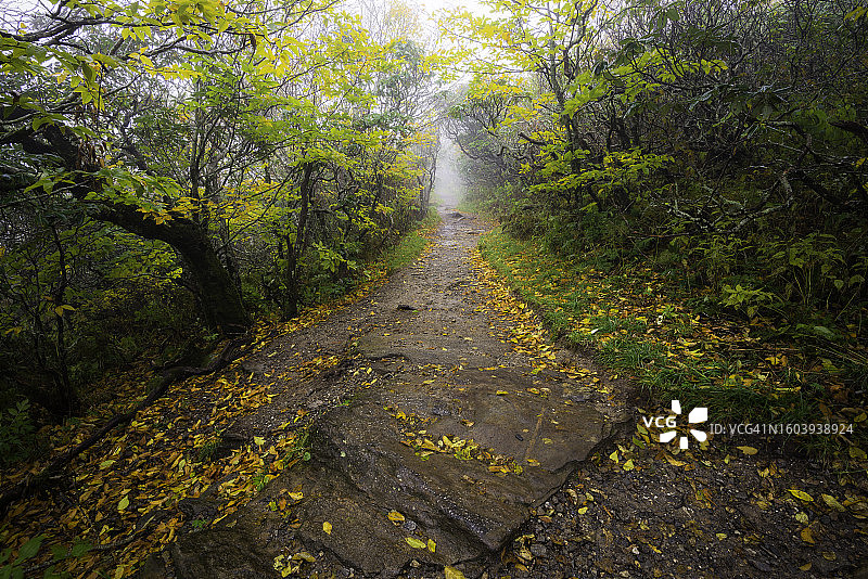 崎岖小路图片素材