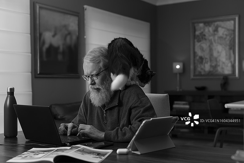 在家办公和猫咪图片素材