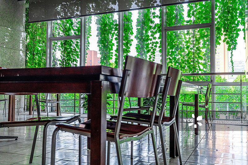 教室的窗户被绿叶覆盖图片素材