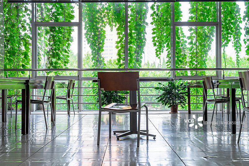 教室的窗户被绿叶覆盖图片素材