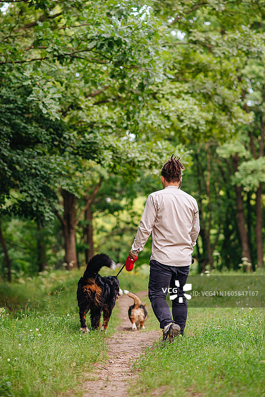 男子在公园或森林中遛宠物狗，周围绿树成荫图片素材