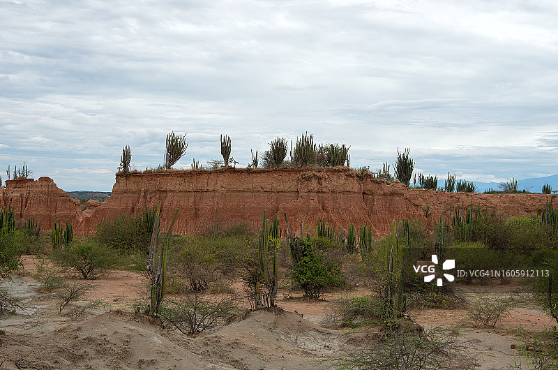 库斯科小路，塔塔科阿沙漠，比亚维哈，乌伊拉，哥伦比亚图片素材