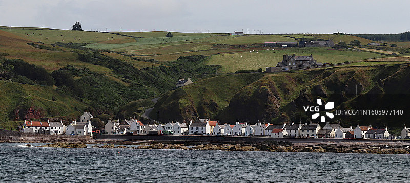 克罗维图片素材