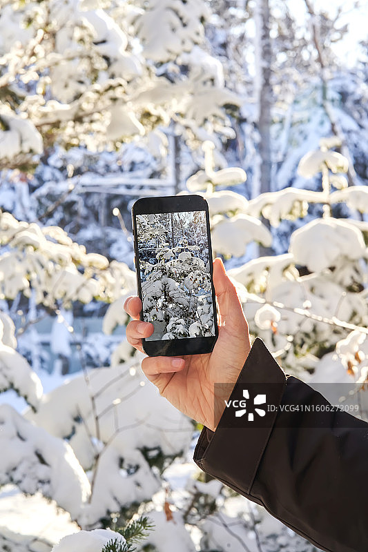 手机上的雪景森林照片图片素材