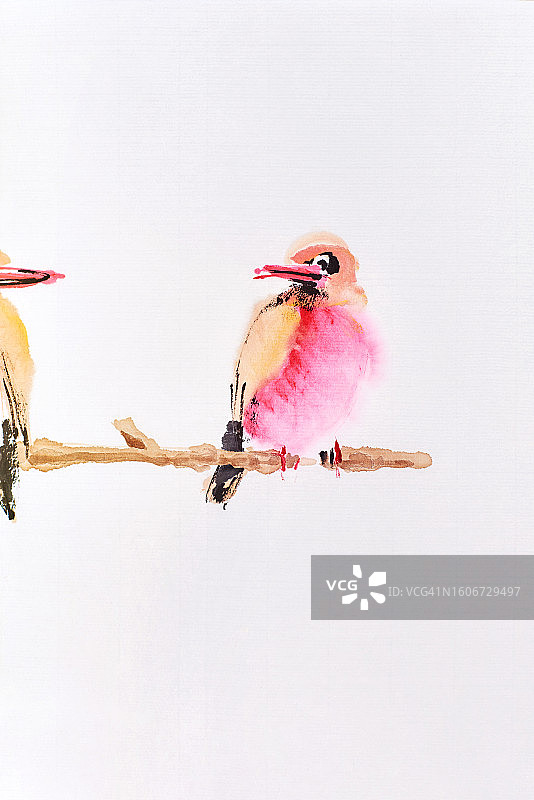 两只鸟栖息在树枝上，手绘中国传统国画图片素材