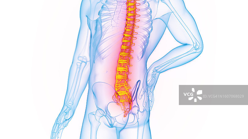 背痛插图图片素材