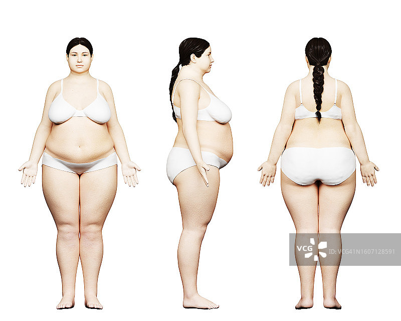 肥胖的女性身体，插图图片素材