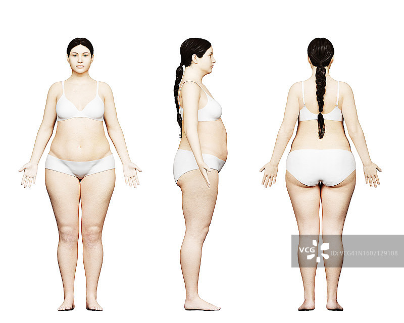 超重女性身体插图图片素材