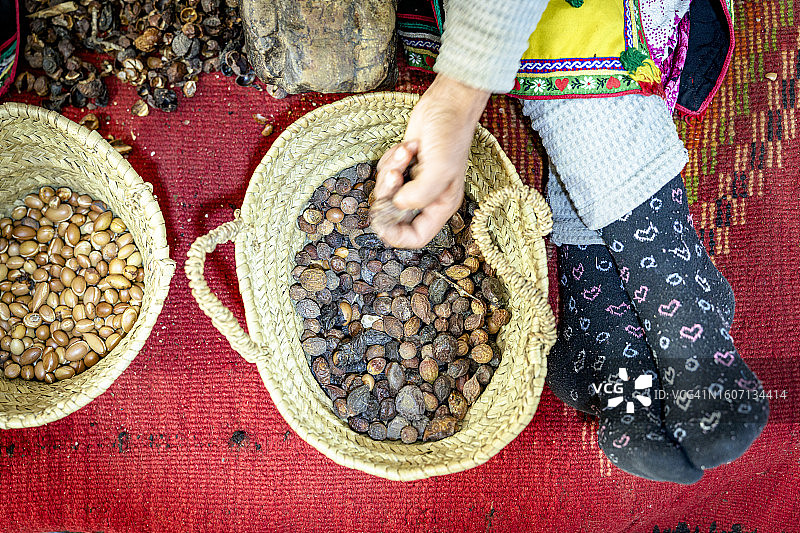工人在非洲摩洛哥挑选用于制作摩洛哥坚果油的种子图片素材
