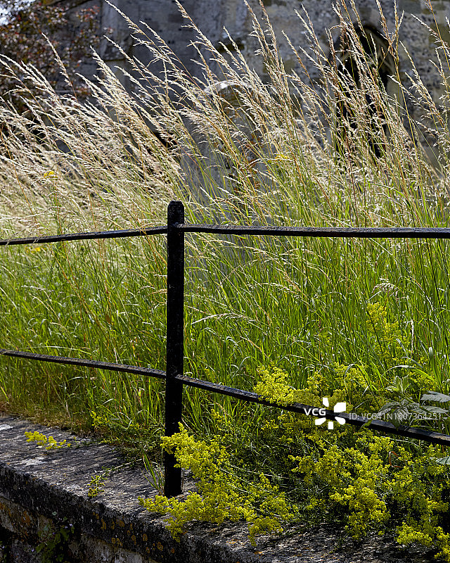 春季英国乡村风光2图片素材