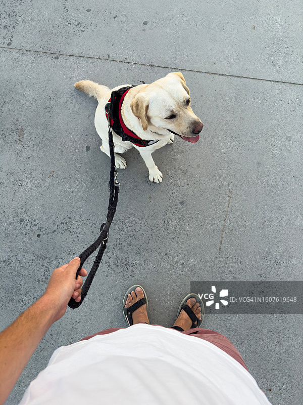 遛狗视角图片素材