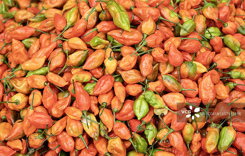 商贩售卖断魂椒图片素材