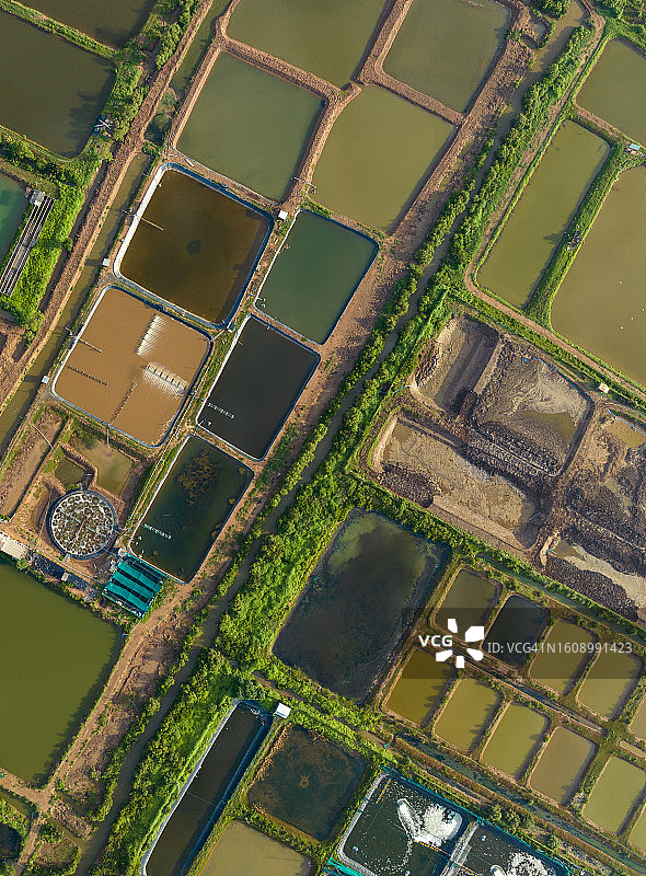 越南前江省谭城海滩虾塘抽象航拍图片素材