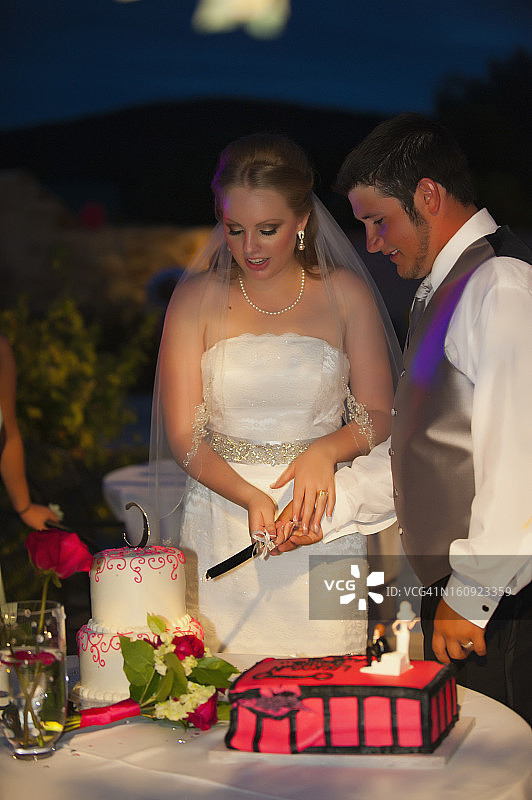 美国德克萨斯州，新娘新郎切蛋糕图片素材