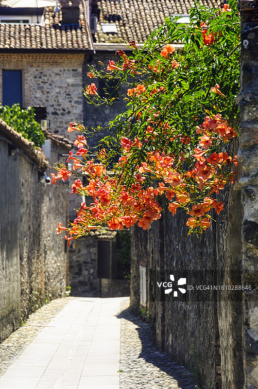 博比奥图片素材