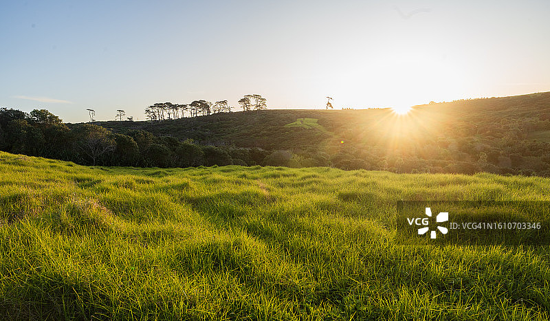 黎明时的自然美景图片素材