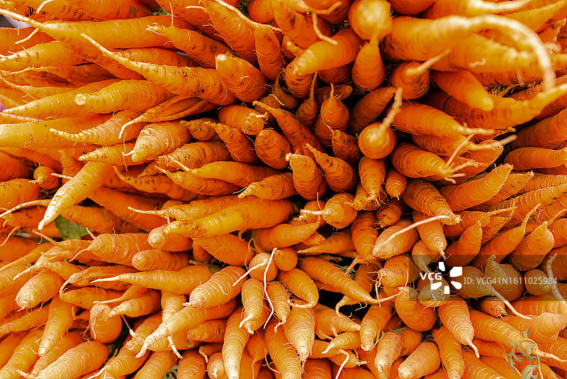 农贸市场新鲜有机胡萝卜尖图片素材