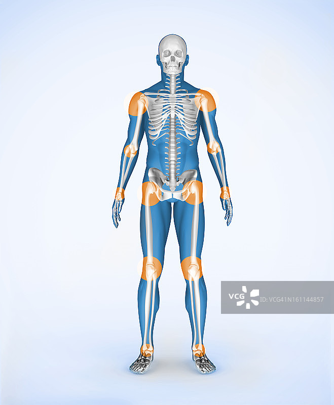 蓝色数码骨骼的关节图片素材