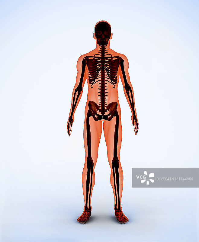 橙色数码骨骼图片素材