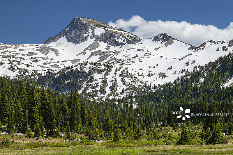 瓦洛瓦老鹰帽荒野图片素材