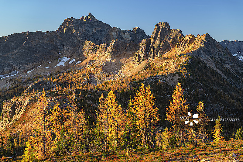 北喀斯喀特山脉亚高山落叶松图片素材