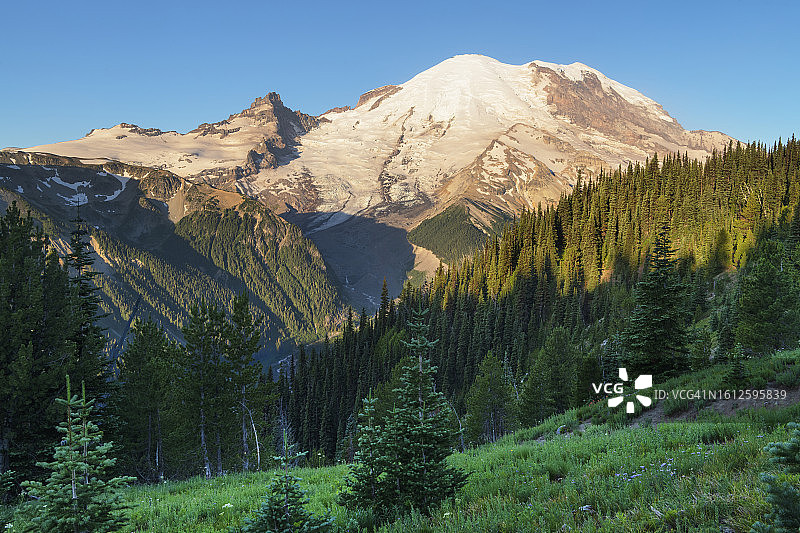 雷尼尔山国家公园图片素材