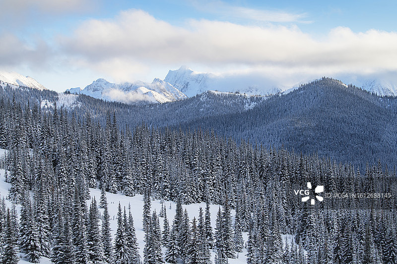 冬季的曼宁省立公园图片素材
