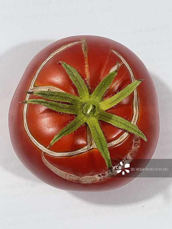 快乐的番茄图片素材