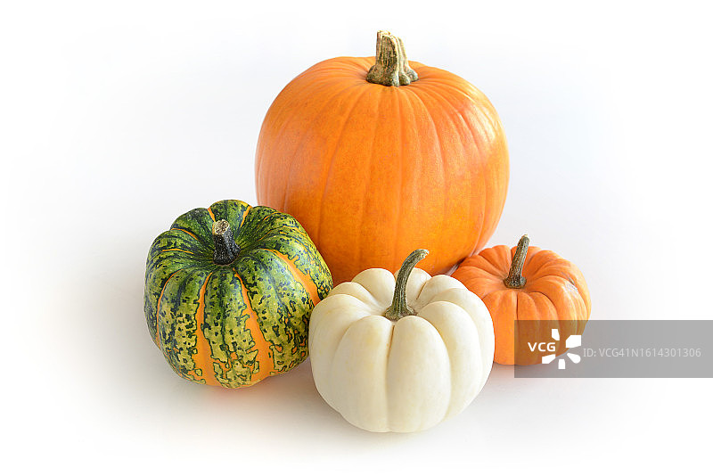 白色背景上的南瓜堆图片素材