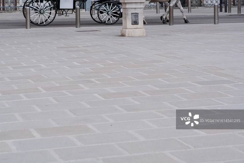 马车上的马图片素材