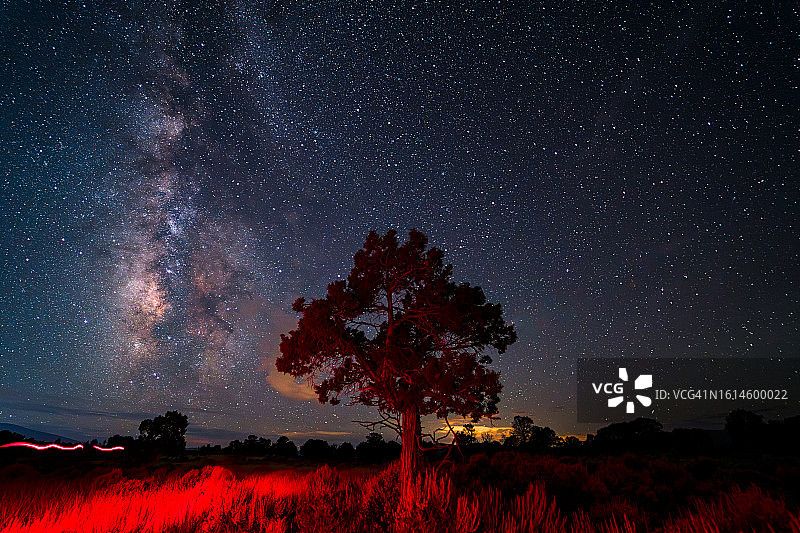 银河和英仙座流星雨下的孤树图片素材
