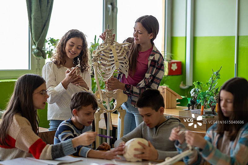 青少年学习人体解剖图片素材