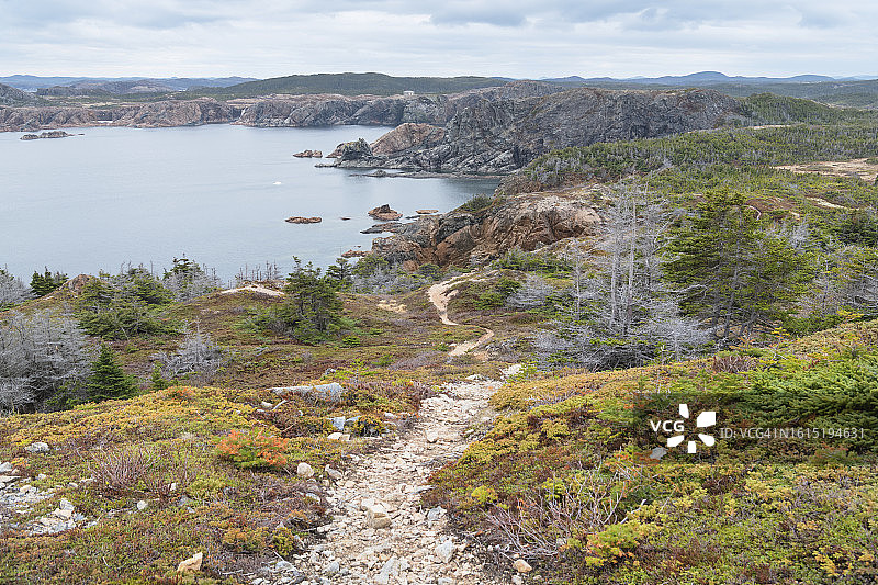 纽芬兰特威林盖特的Rockcut Trails图片素材