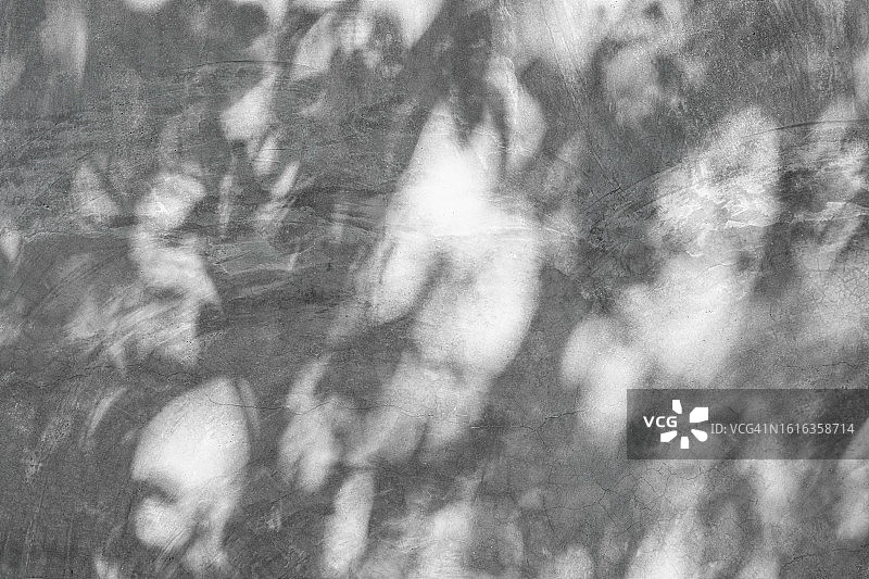 老旧混凝土墙上的树叶阴影图片素材