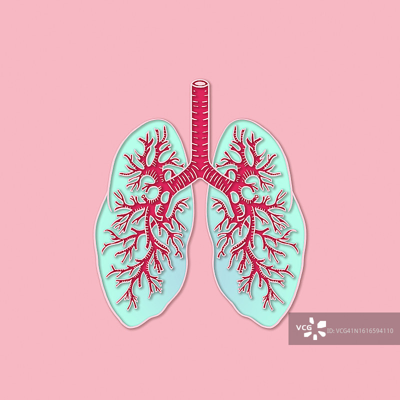 粉色剪纸肺图片素材