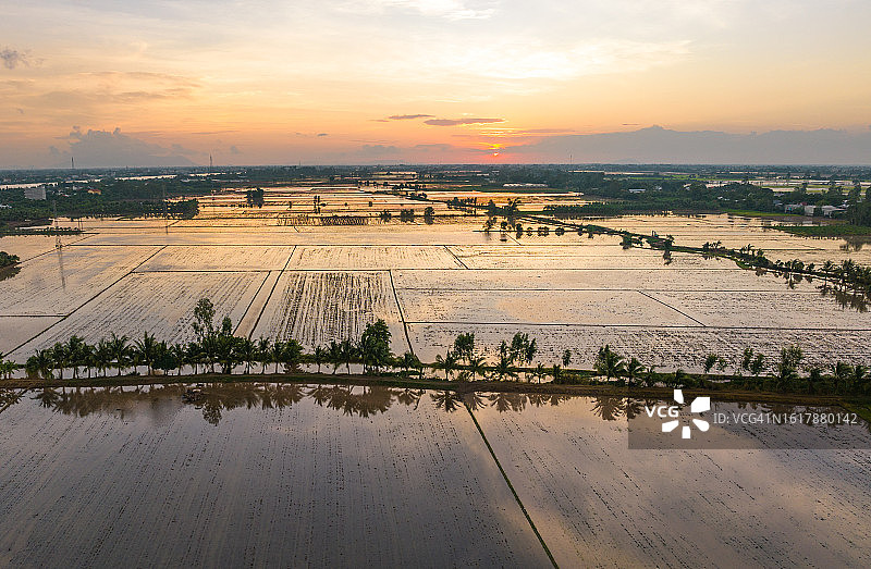 湄公河三角洲安江省日落时分的洪水季图片素材