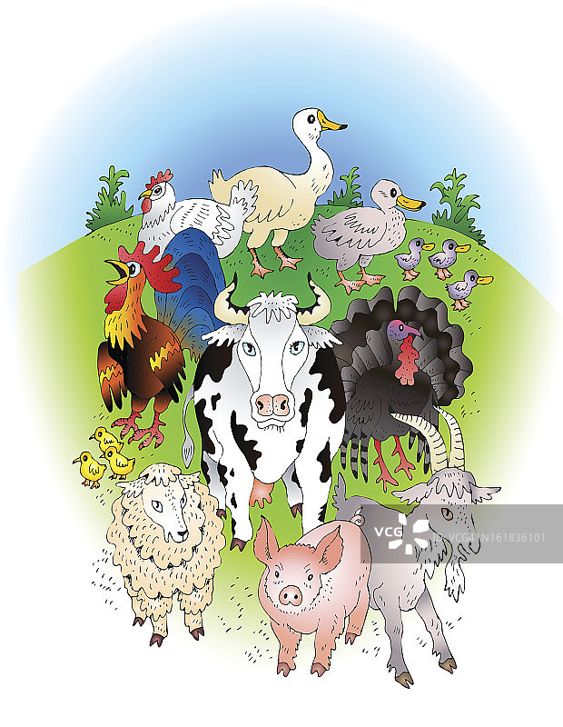 夏季背景下的农场动物图片素材