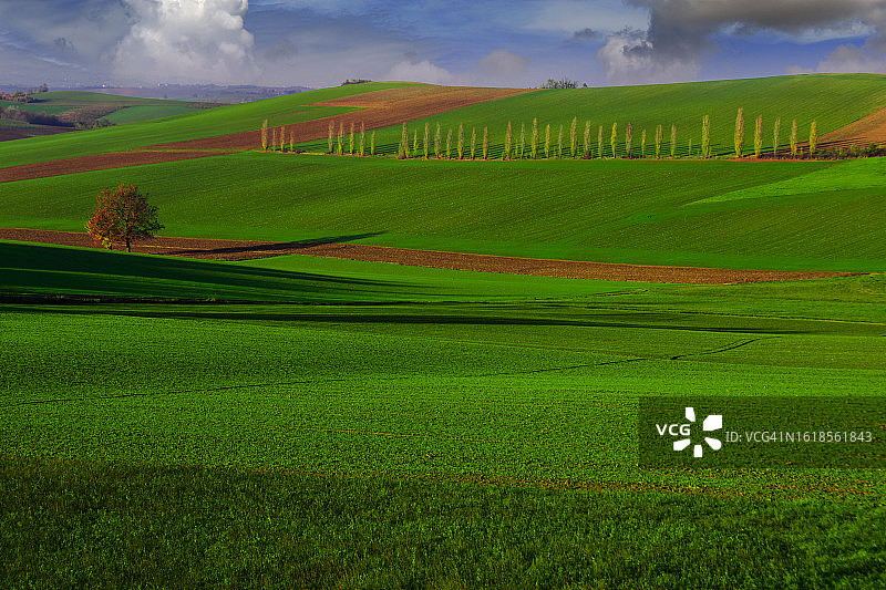 意大利皮埃蒙特 San Salvatore 的乡村农田景观图片素材