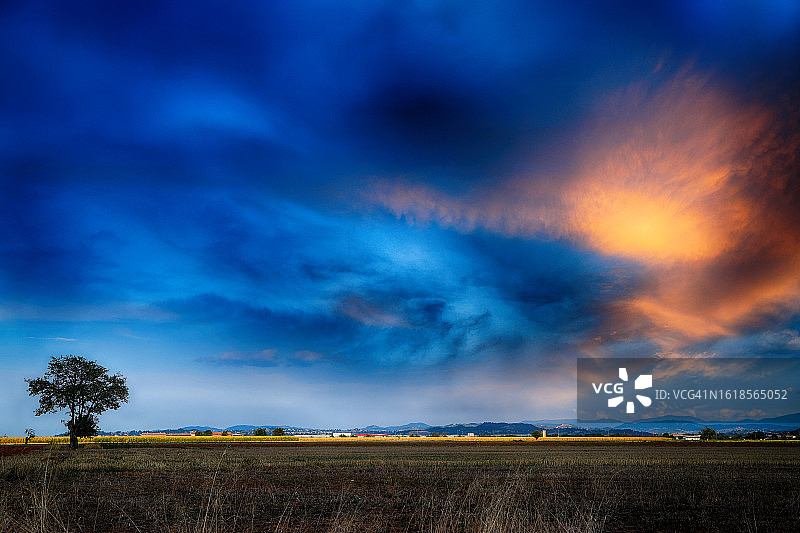 意大利波河平原农田中的树图片素材