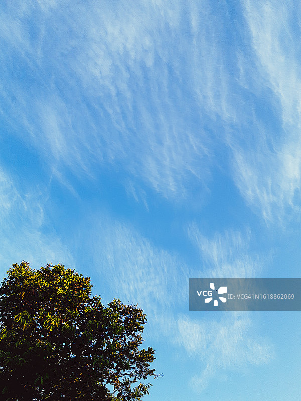 晴空中吹拂的薄云图片素材