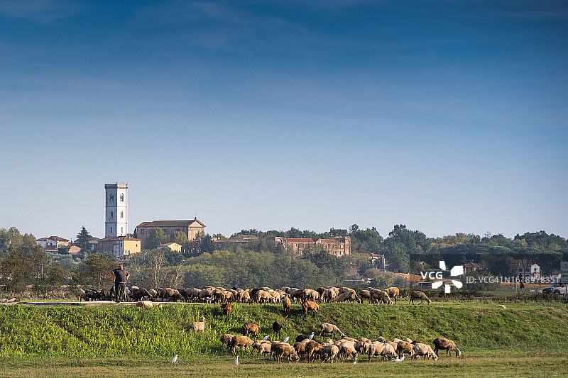 意大利托斯卡纳地区卢卡省阿尔托帕肖图片素材