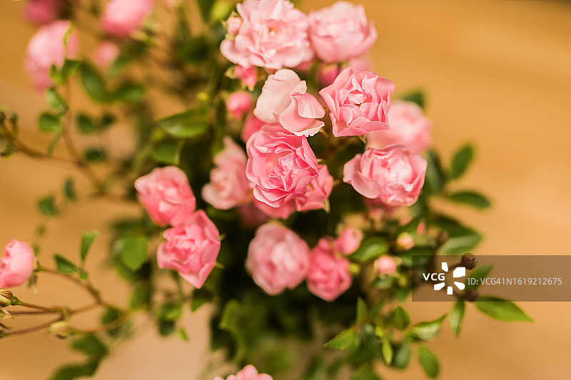 家中花瓶里的喷雾玫瑰花束图片素材