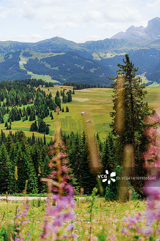 意大利多洛米蒂阿尔卑斯山锡瑟阿尔姆美丽风光图片素材