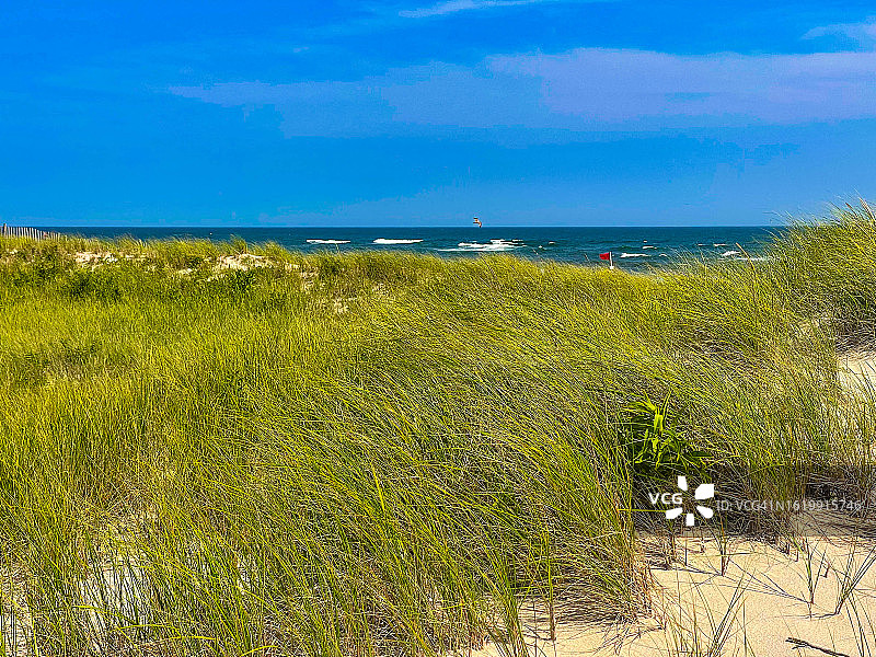 海洋与野生草地上的地平线，汉普顿海湾图片素材