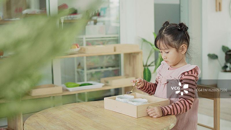 幼儿园混血女孩用勺子转移干豆，蒙台梭利教育学校的实践生活技能活动图片素材