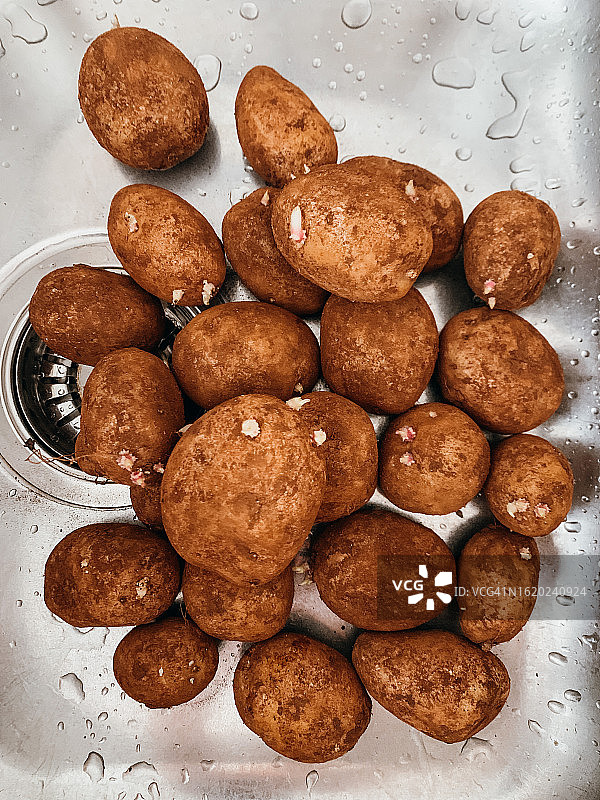 发芽的土豆图片素材